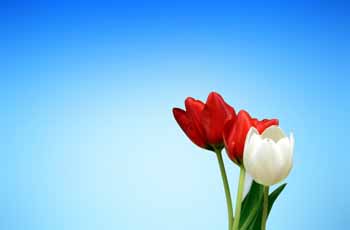 专业破解版的免费ddos防火墙