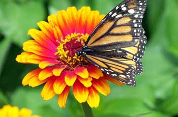 DDOS压力测试网页端