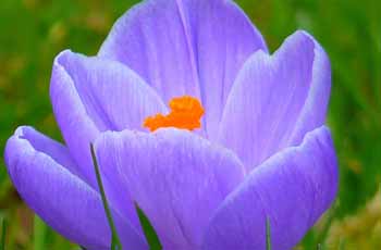 稳定供货渠道的免费DDOS攻击测试工具