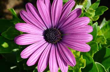 DDOS压力测试网页端