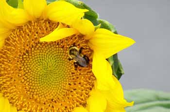 ip攻击器网页版ddos