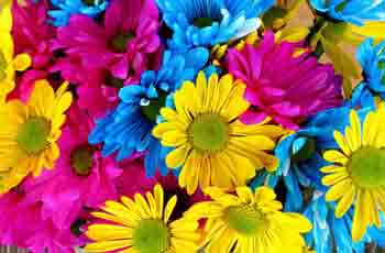 ddos流量攻击购买